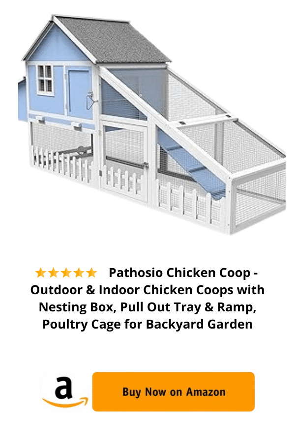  Chicken Coop